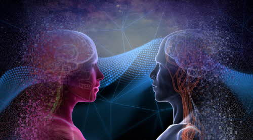 [156ȣ] ����� ���, �ں����