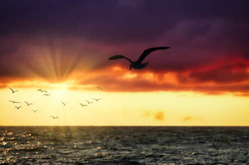 [156ȣ] ������ ���� �������� �ھƿ��� �����